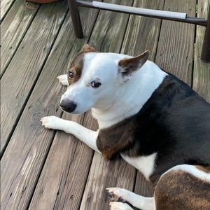 Meet your Posher, Robert